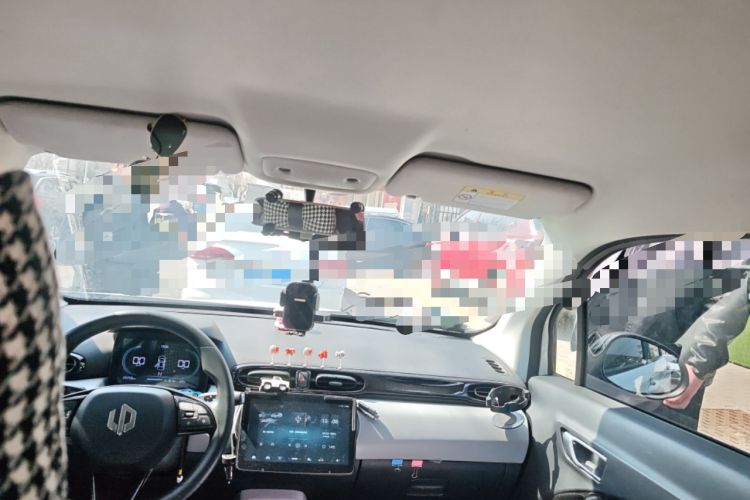 Used Leapmotor T03 2023 200 Lite Edition Headliner