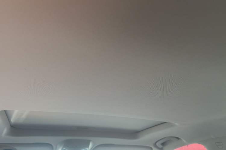 Used SAIC MAXUS D90 2017 2.0T Automatic All-Wheel Drive Sirius Headliner