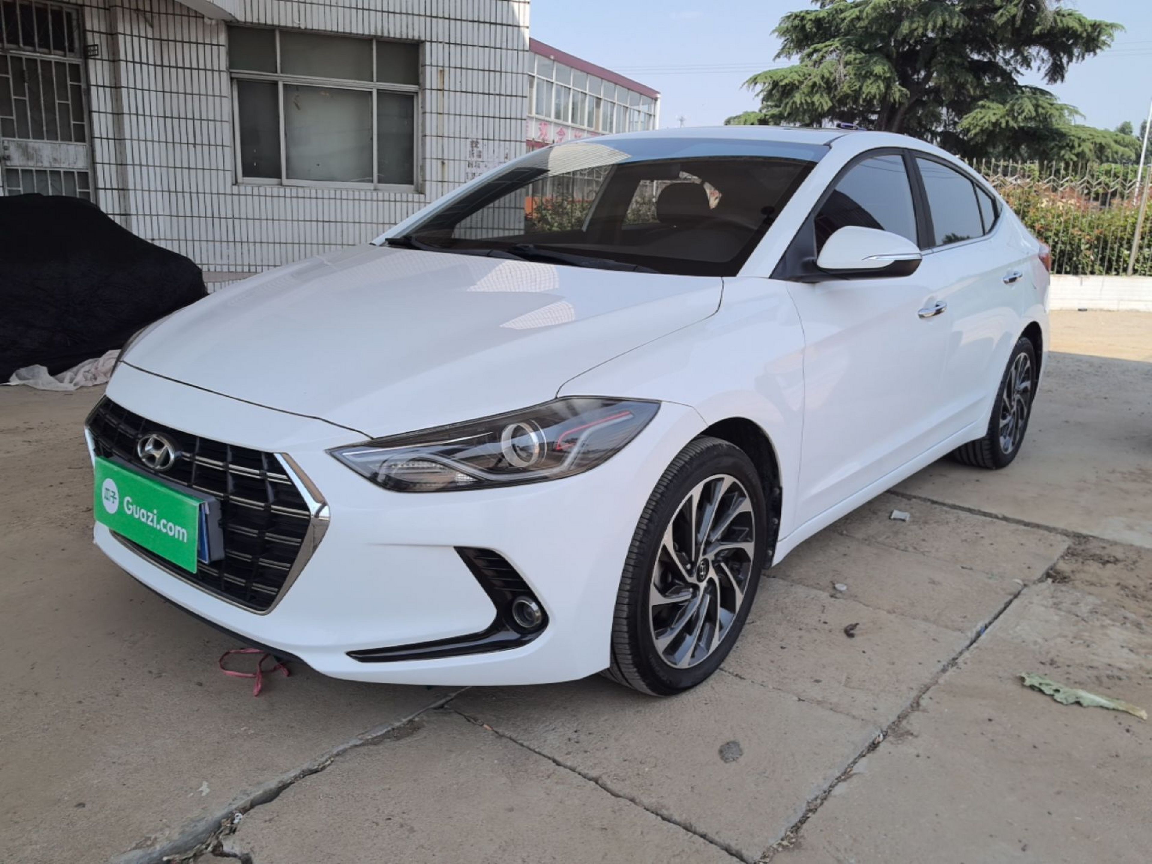 Under Front Bumper
