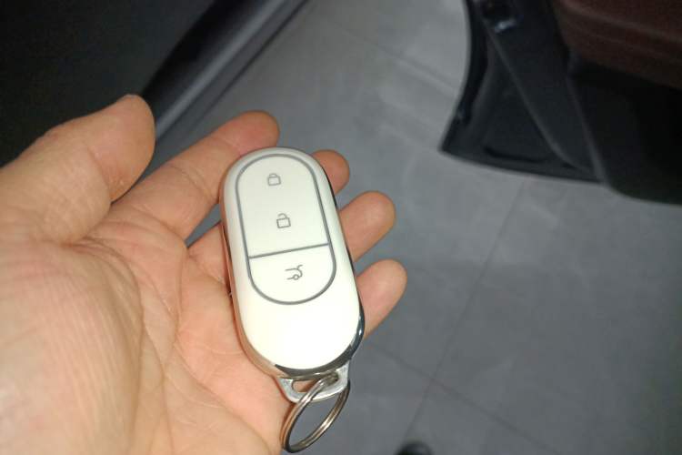 Used Leapmotor C11 2023 Pure Electric 500 Comfort Edition