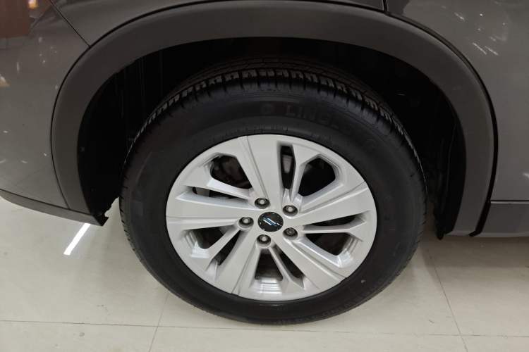 Used Oshan X7 2020 1.5T Manual Luxury Version
