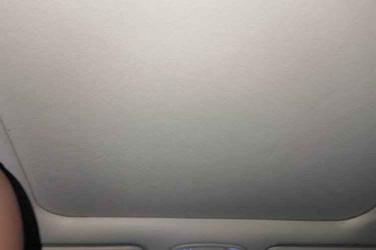 Used Kia Sportage R 2021 Ace 2.0L Splendid Edition Headliner