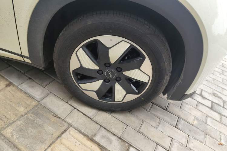 Used BYD Dolphin 2025 420km Free Edition