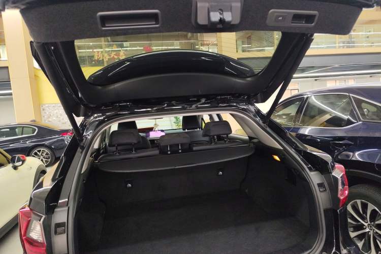 Used Lexus RX 2016 300 Two-Wheel Drive Elite Version China V Standard Trunk