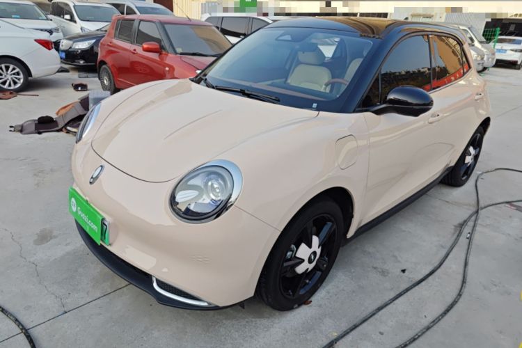 Used ORA Good Cat 2024 401 km Luxury Version