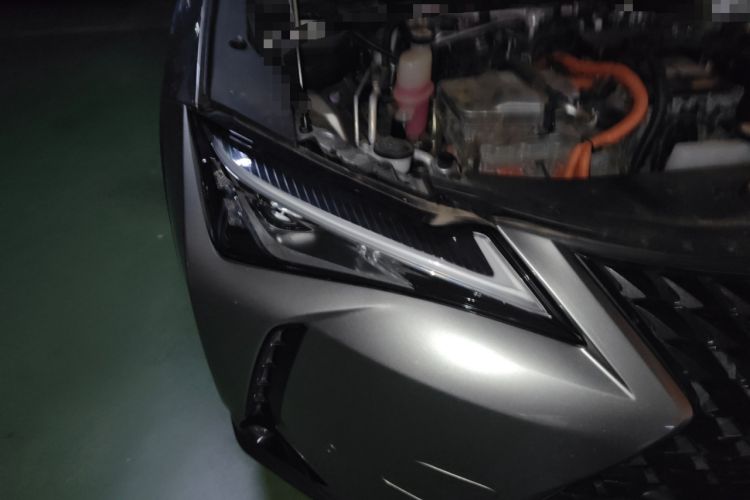 Used Lexus UX New Energy 2020 300e Pure·Joy Edition