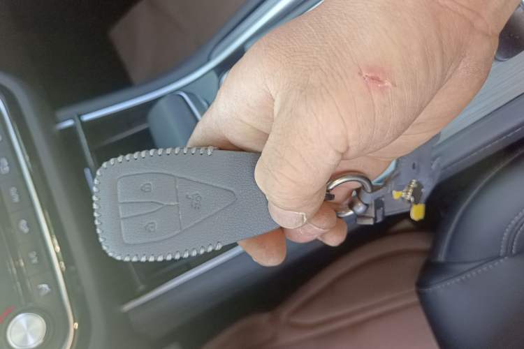 Used CHANGAN Ruicheng CC 2022 Blue Whale Edition 1.5T DCT Luxury Model
