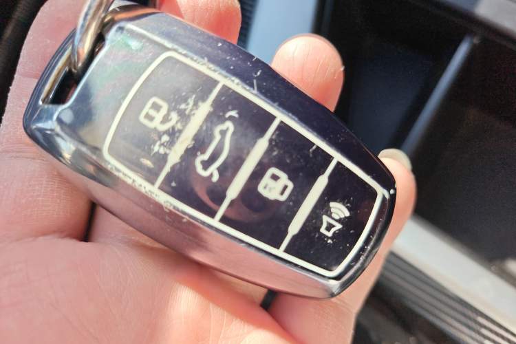 Used Haval LHERY 2022 Jingxiang Edition 1.5T Copper Rabbit