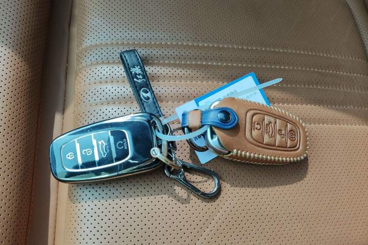 Used Hongqi H9 2020 2.0T Smart Connect Flagship Edition Interior 1