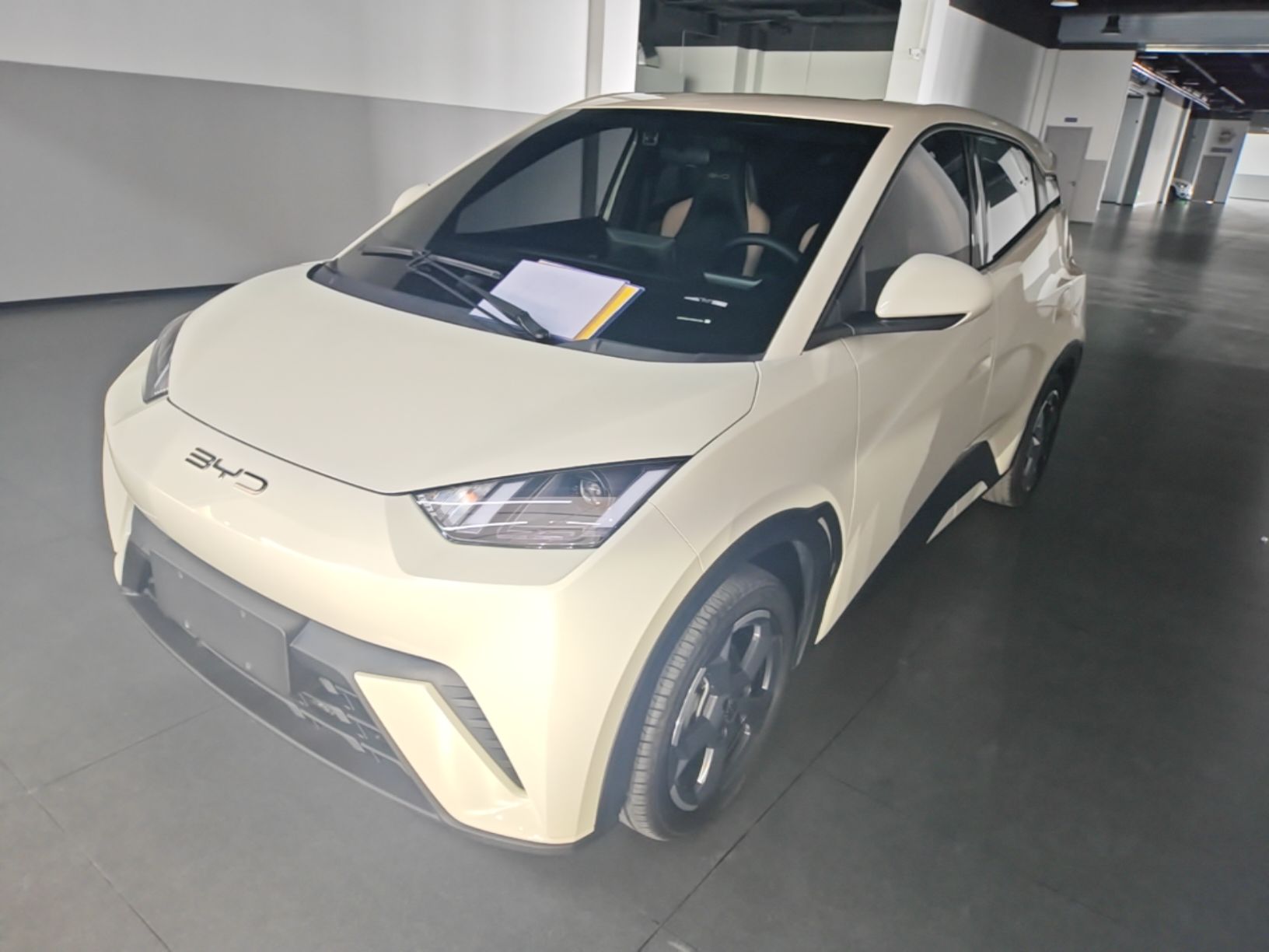 Parte inferior delantera