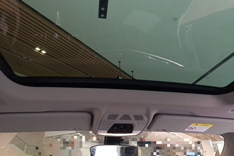 Used BMW X1 2020 sDrive20Li Premium Edition Headliner