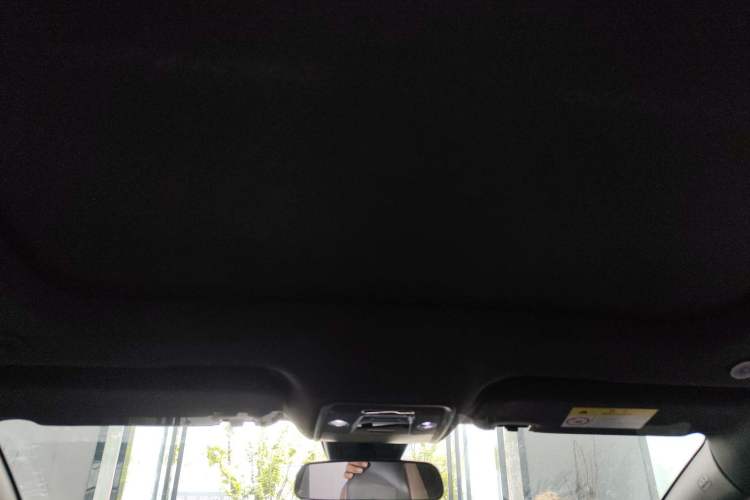 Used BYD Dolphin 2023 420 km Fashion Edition Headliner