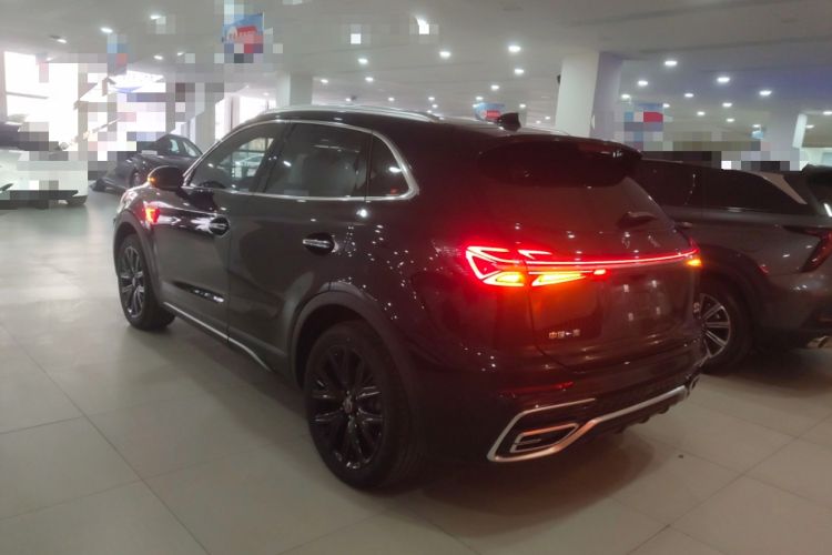 Used Hongqi HS5 2025 2.0T Two-Wheel Drive 600 000-Vehicle Commemorative Edition Exterior 2