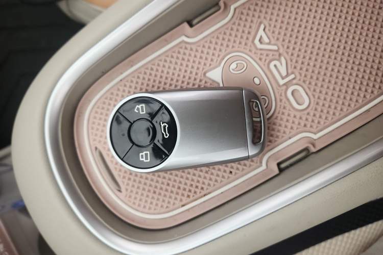 Used ORA Good Cat 2024 401 km Luxury Version