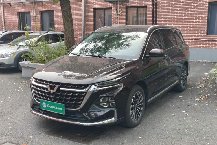 Used Wuling Victory 2023 2.0L DHT Luxury Edition