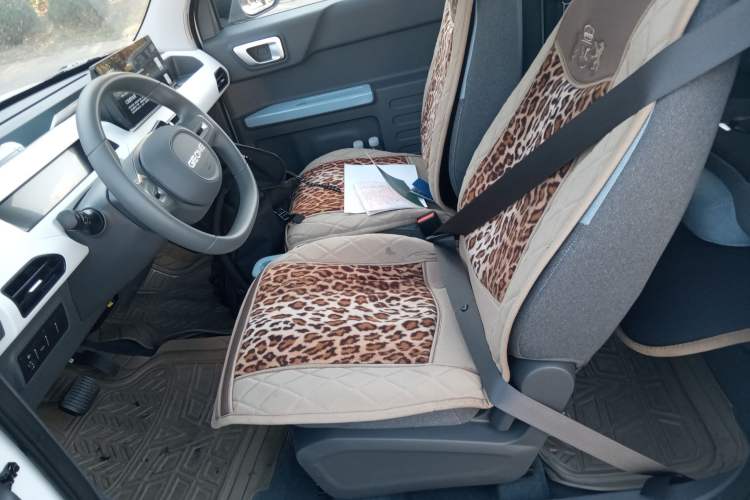 Used Geely Galaxy Panda 2024 Panda Mini 200km Endurance Bear
