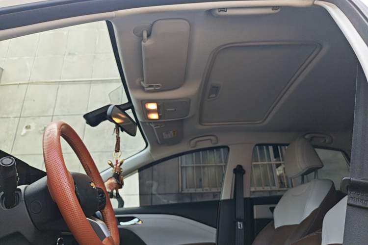 Used Chevrolet Monza 2023 1.5L Dual-Clutch Enjoyment Edition Headliner