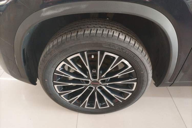 Used EXEED Lingyun 2025 300T Two-Wheel Drive Starry Edition
