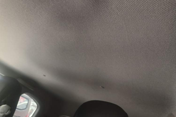 Used Wuling Hongguang MINIEV 2020 Freedom Version Lithium Iron Phosphate Headliner