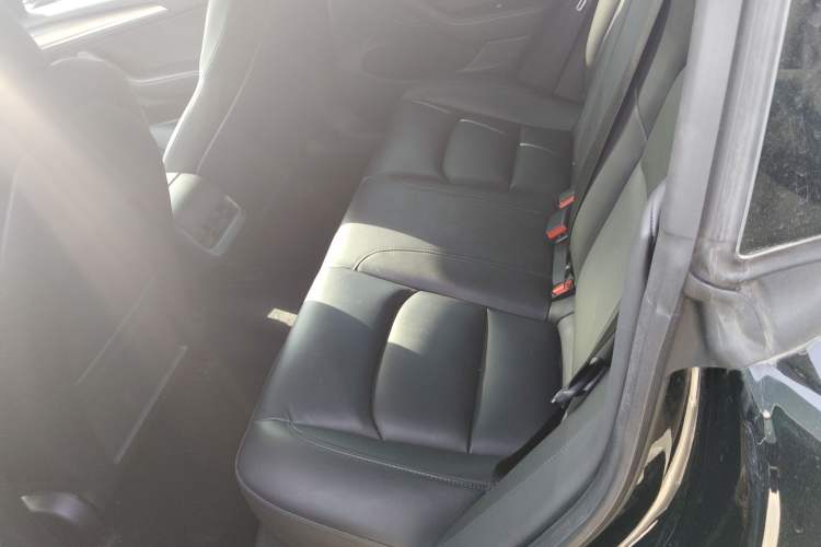 Used Tesla Model 3 2021 Standard Range Rear-Wheel Drive Upgraded Version 3D6
