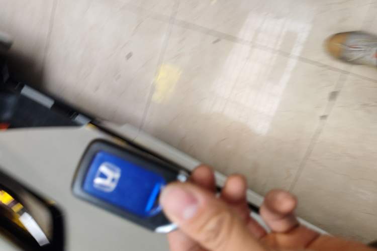 Used Honda Elysion 2019 2.0L Hybrid Luxury Edition