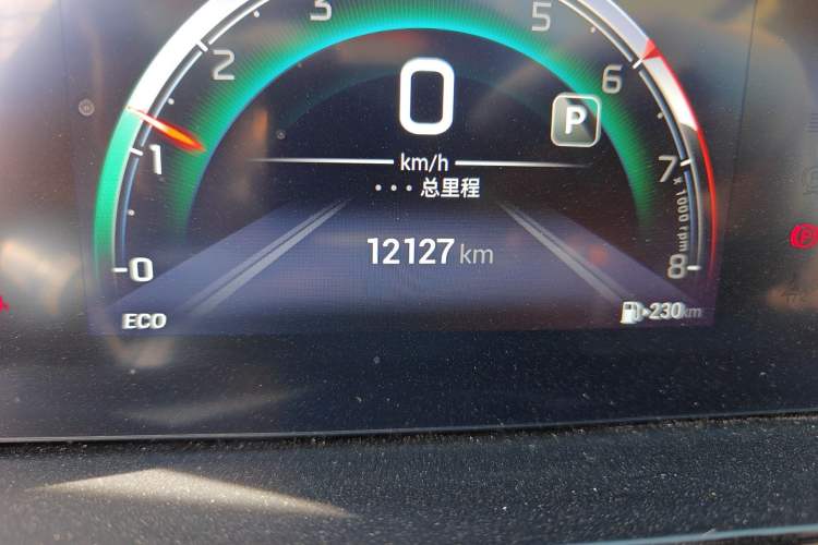 Used GAC Trumpchi M6 2025 Model MAX 270T WDCT Luxury Edition Odometer Close Up