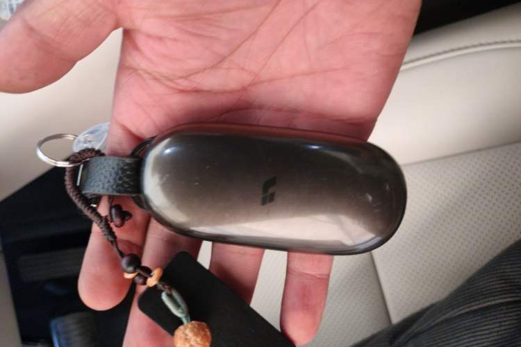 Used Li Auto L9 2024 Ultra Model Vehicle Key