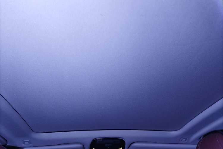 Used BMW X5 2023 xDrive 30Li Luxury M Sport Package Headliner