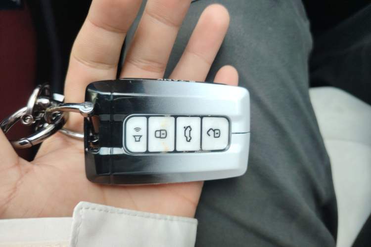 Used Tank 400 New Energy 2024 Hi4-T City Edition