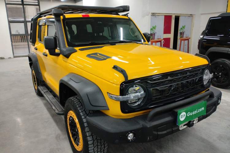 Used Tank 300 2022 2.0T Border Limited Edition
