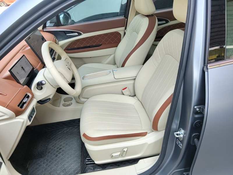 Used ORA Good Cat 2025 Model, 430 km Prestige Version — 14
