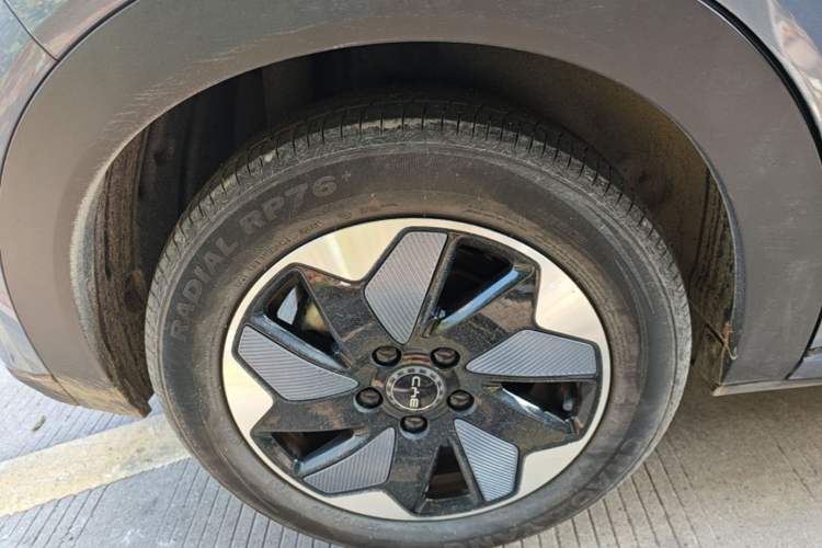 Used BYD Dolphin 2024 Honor Edition 420km Fashion Version
