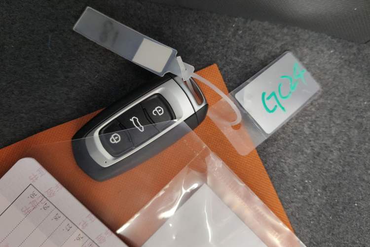 Used Geely Galaxy Panda 2024 Panda Mini 200km Endurance Bear
