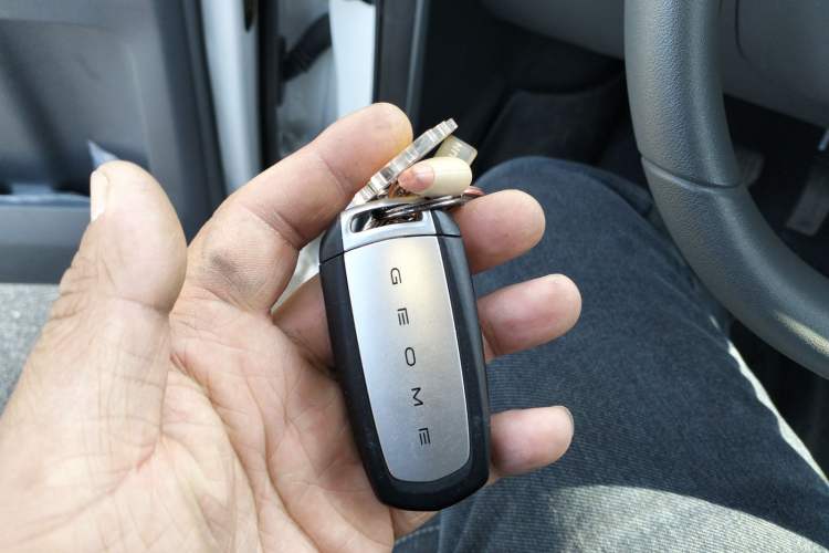 Used Geely Galaxy Panda 2024 Panda Mini 200km Endurance Bear