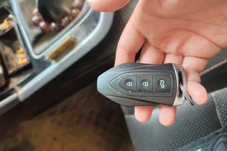 Used Leopaard CS10 2017 2.0T Manual Excellence Edition
