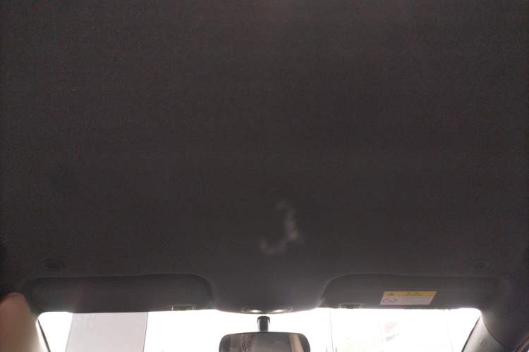 Used BYD Dolphin 2023 420 km Free Version Headliner