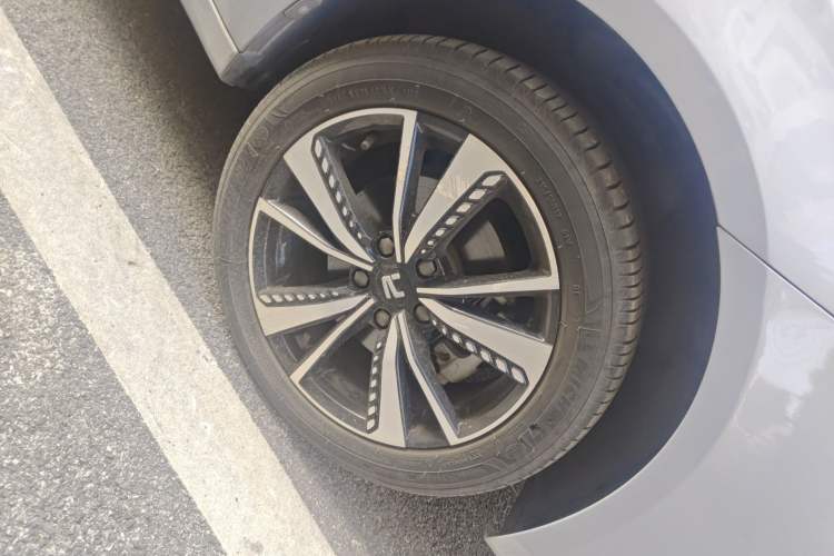 Used Rising ER6 2021 New Dynamic Edition 620km Smart Enjoyment Version
