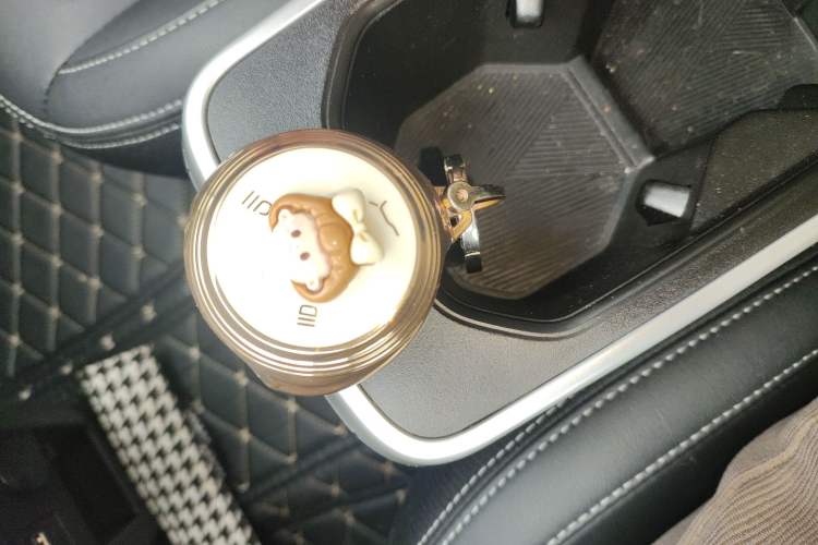 Used NETA V 2022 Chao 400 Lite
