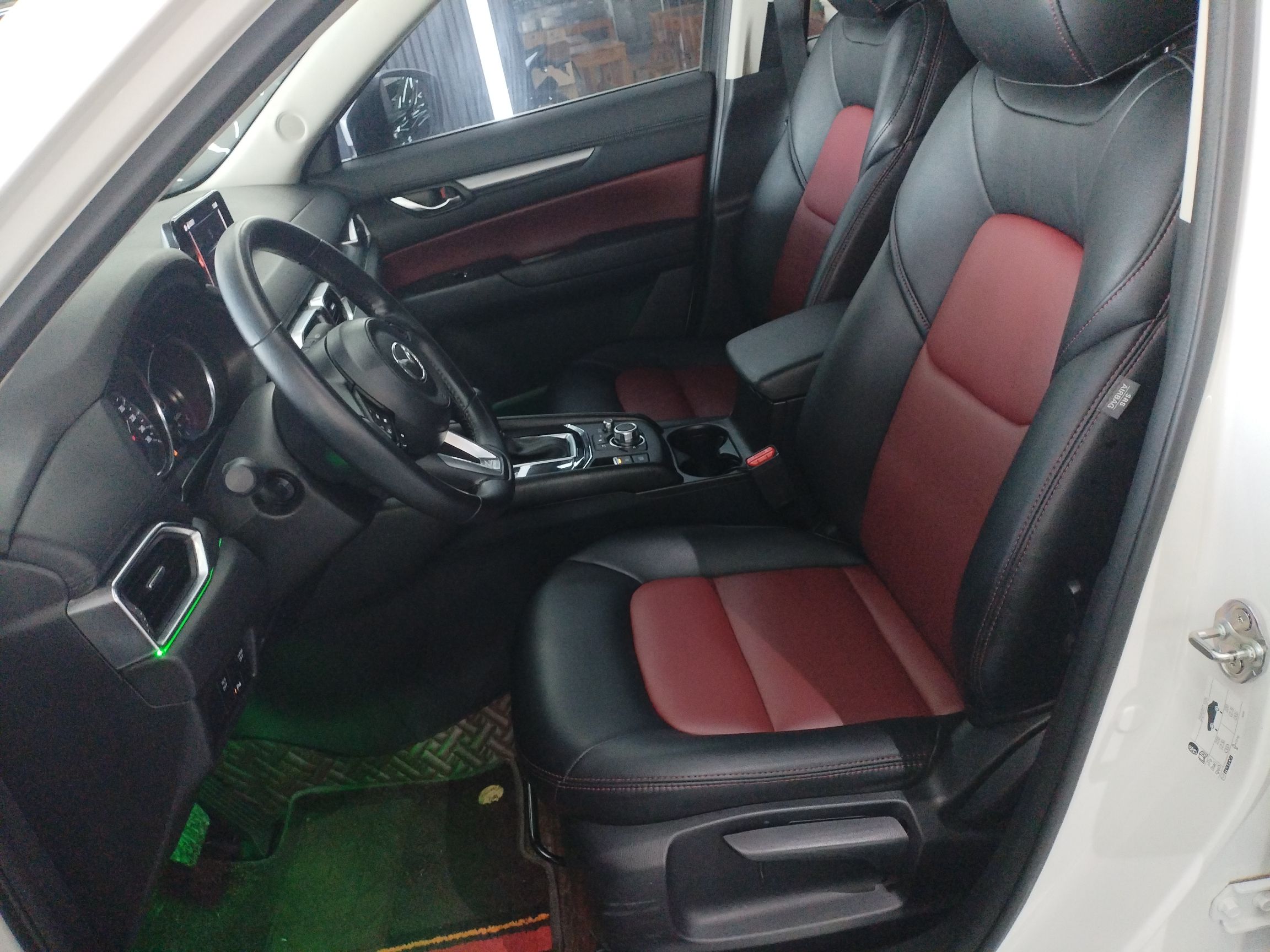 Interior delantero