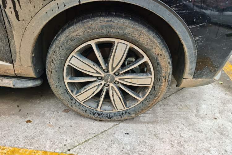 Used Haval H6 2021 1.5T Automatic Champion Edition