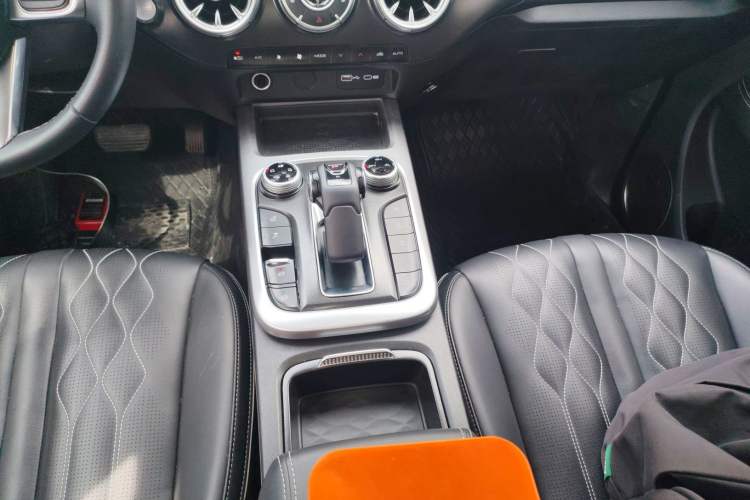 Used Tank 300 2024 2.0T Challenger
