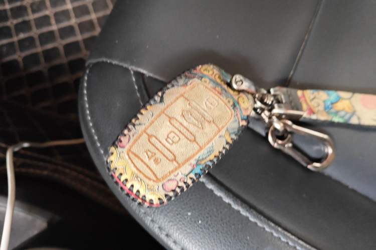 Used ORA Black Cat 2021 351 km Standard Version Vehicle Key