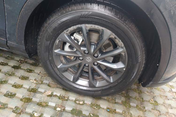 Used Leapmotor C11 2023 Pure Electric 500 Comfort Edition