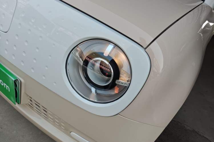 Used ORA Black Cat 2022 301km Base Version Ternary Lithium