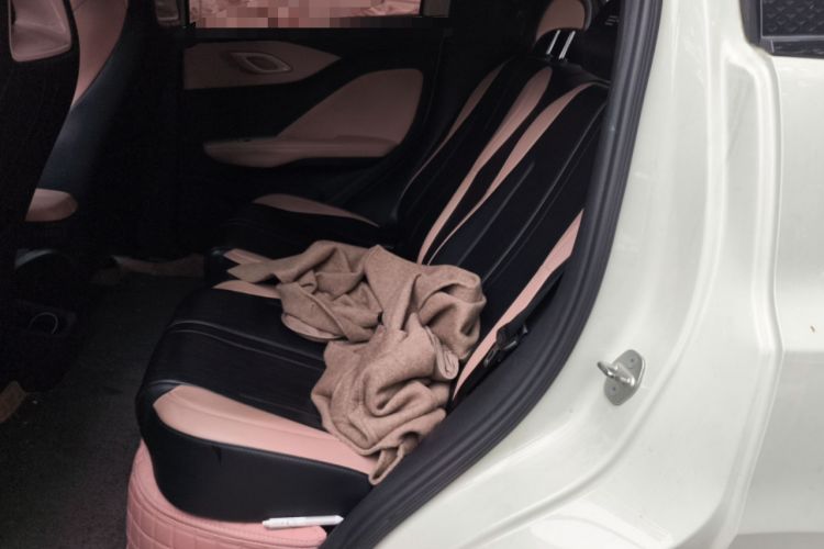 Used BYD Seagull 2023 Active Version Left Rear Seat