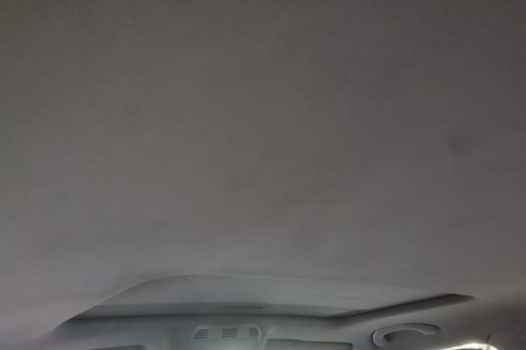 Used Volkswagen Magotan 2012 1.8TSI Prestige Model Headliner