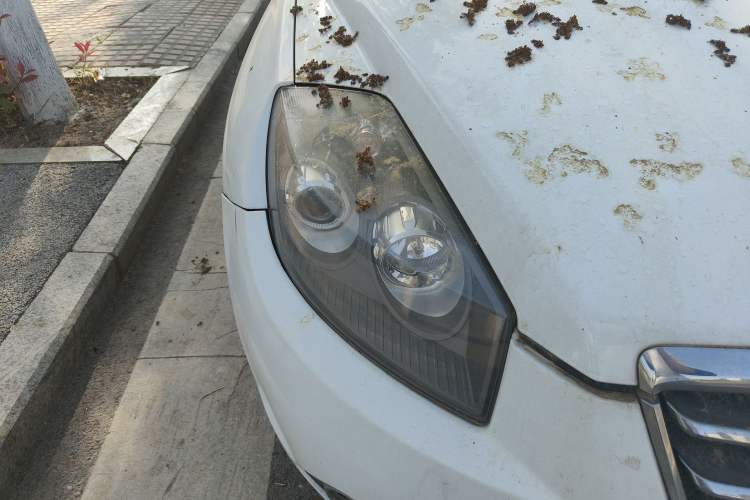 Used Geely Auto GX7 2015 Classic Edition 1.8L Manual Elite Model China V Standard Right Front Headlight