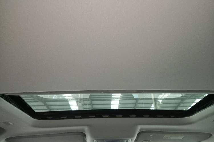 Used Tank 300 New Energy 2025 Hi4-T