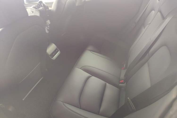 Used Tesla Model 3 2021 Revised Version Standard Range Rear-Wheel Drive Upgraded Edition 3D1 Left Rear Seat