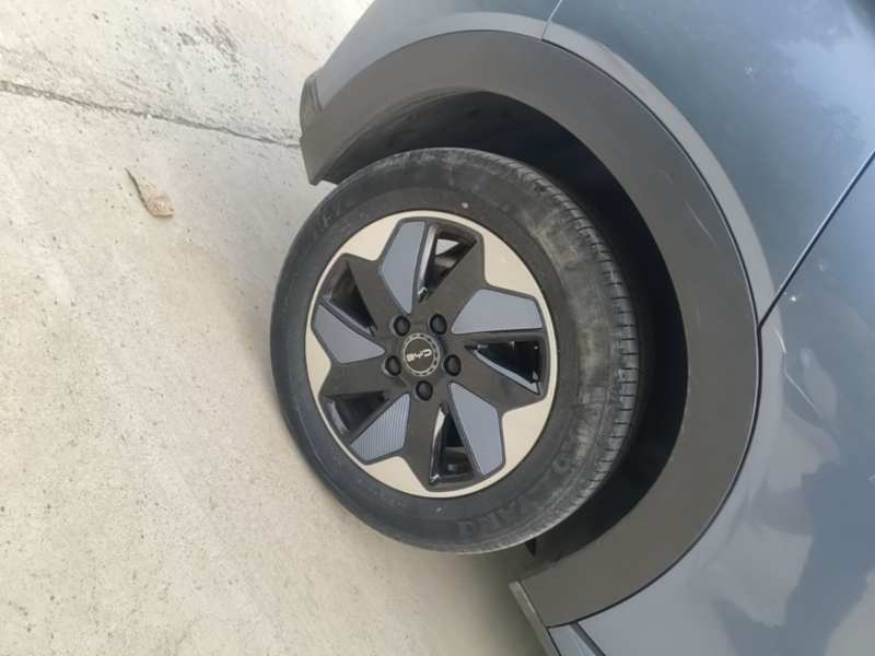 Used BYD Dolphin 2024 Honor Edition 420km Freedom Version — 25